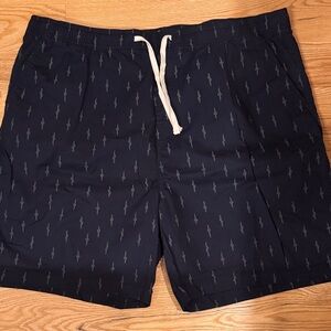 Men's Navy Shorts